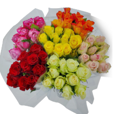 Rozen